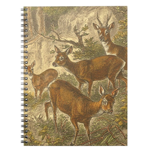 Cuaderno Familia de Roe - Deers en un bosque (Frente)