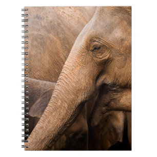Cuaderno Familia Elefante: Vida silvestre majestuosa