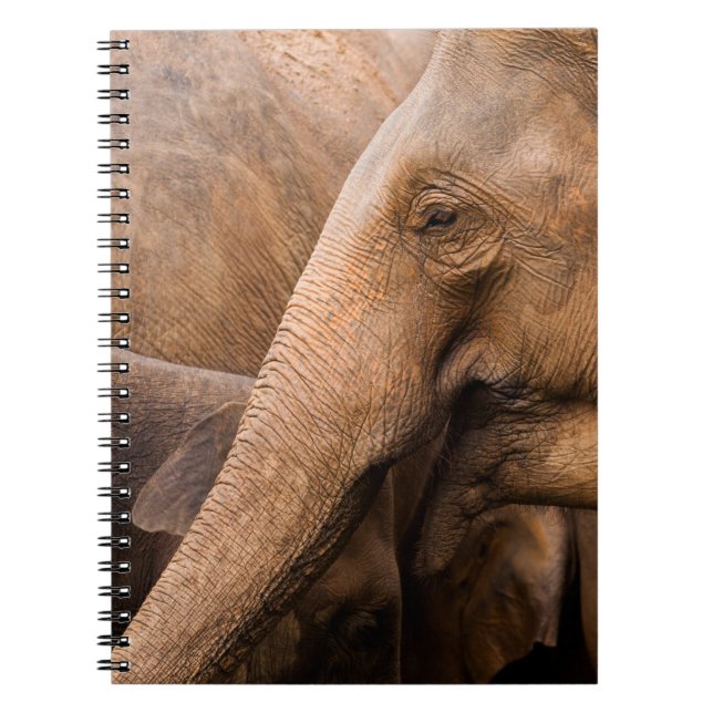 Cuaderno Familia Elefante: Vida silvestre majestuosa (Frente)