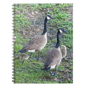 Cuaderno Familia Geese de Canadá