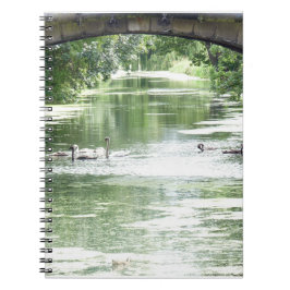 Cuaderno Familia Swan en el río