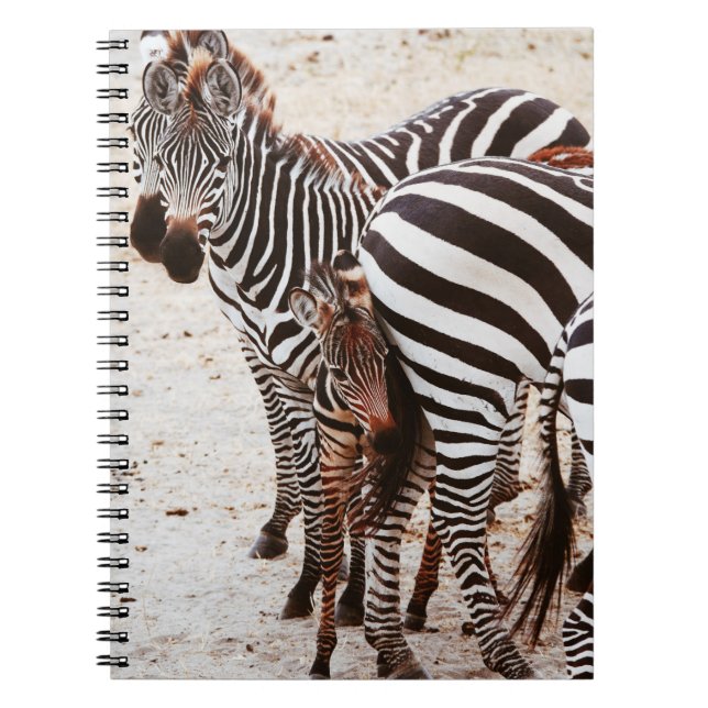 CUADERNO FAMILIA ZEBRA (Frente)