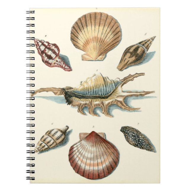 Cuaderno Fancy Shell Beach (Frente)