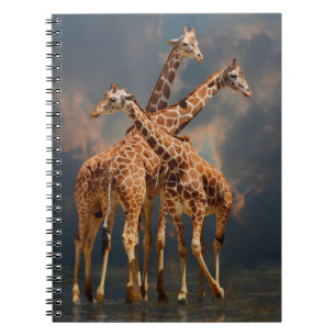CUADERNO FANTASÍA DE GIRAFFIC