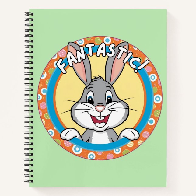 Cuaderno Fantástico, conejo  (Anverso)