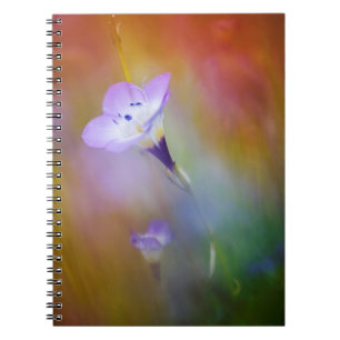 Cuaderno Faro de Old Point Loma   Monumento Cabrillo