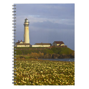 Cuaderno Faro en Pigeon Point State Beach en San