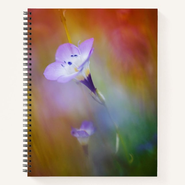 Cuaderno Faro Old Point Loma | Monumento al Cabrillo (Anverso)