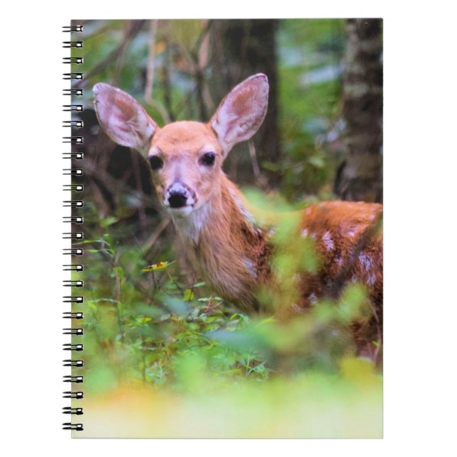 Cuaderno Fawn in the Woods - Peek-a-boo - Equipo portátil (Frente)