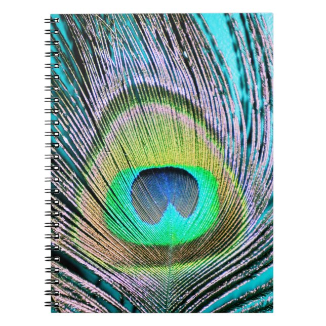 Cuaderno Feather de pavo real sobre turquesa (Frente)
