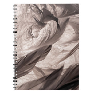 Cuaderno Feathers