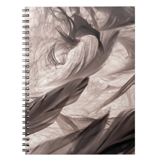 Cuaderno Feathers (Frente)