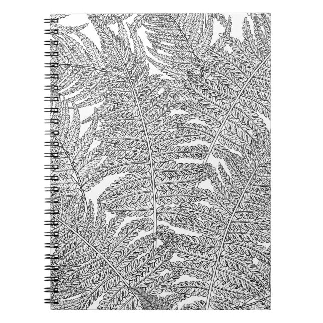 Cuaderno Fern en blanco y negro (Frente)