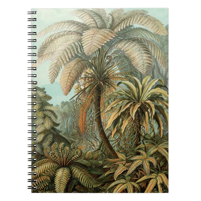 Cuaderno Ferns Palm Tree Antique Botanica Ferns Art (Frente)