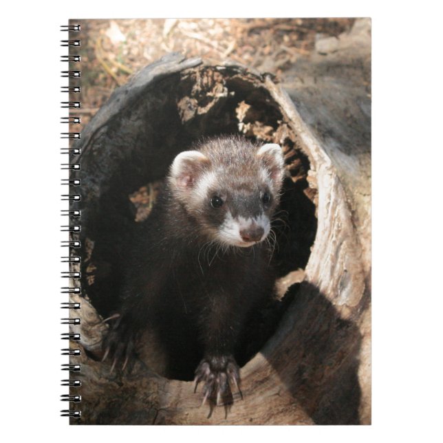 Cuaderno Ferret Face (Frente)