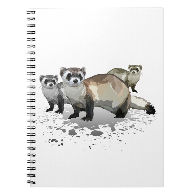 Cuaderno Ferrets (Frente)