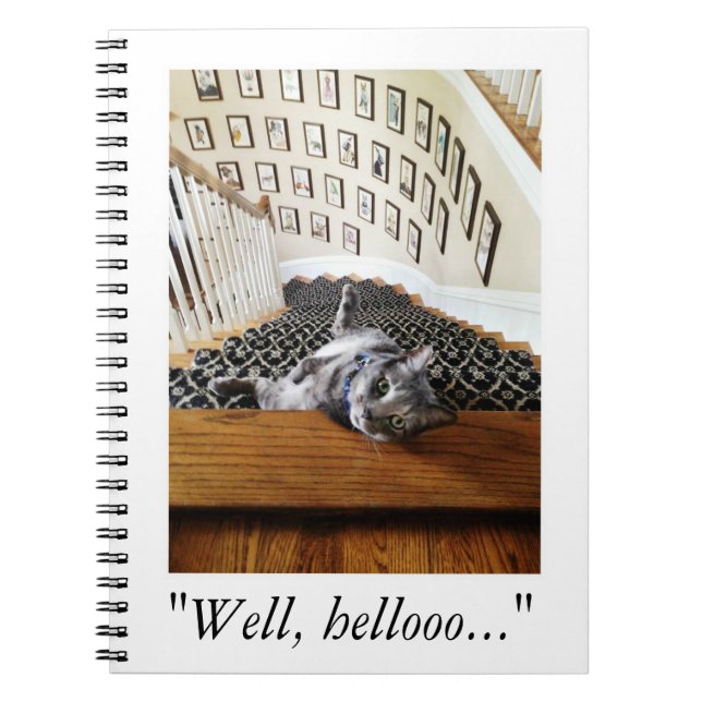 Cuaderno Ferris Mewler está golpeando en usted (Frente)