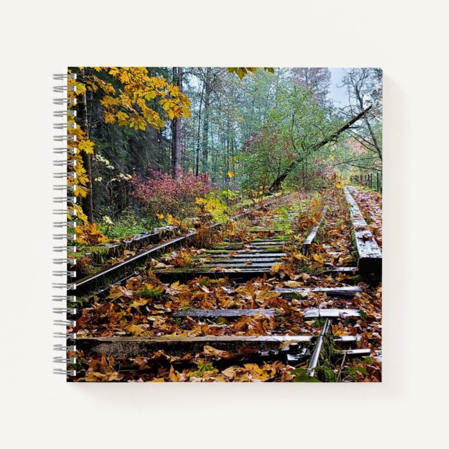 Cuaderno Ferrocarril olvidado (Anverso)