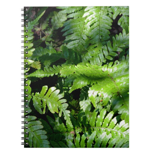 Cuaderno Ferrocarriles verdes de primavera (Frente)