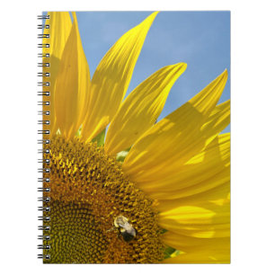 Cuaderno Festival del Sol