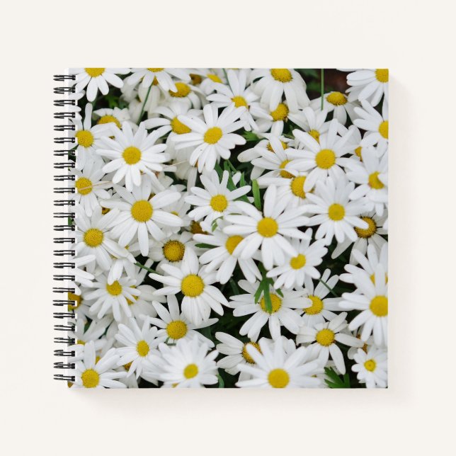 Cuaderno Field of Daisies Photo (Anverso)