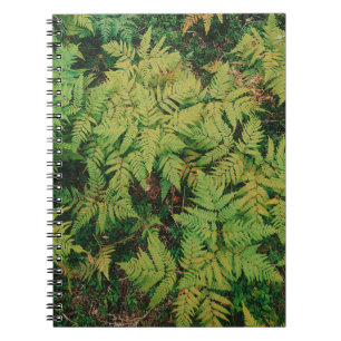 Cuaderno Field of Ferns