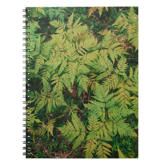 Cuaderno Field of Ferns  (Frente)