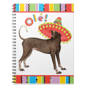 Cuaderno Fiesta Xolo