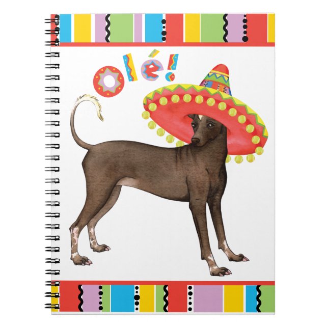 Cuaderno Fiesta Xolo (Frente)