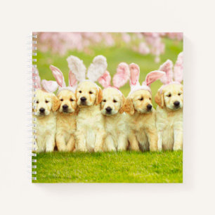 Cuaderno Fila de conejitos cachorros