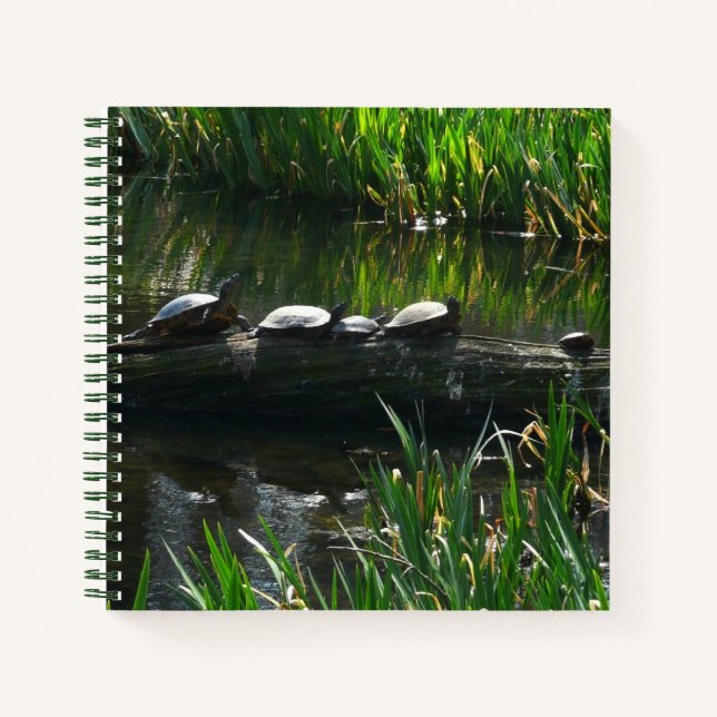 Cuaderno Fila de la naturaleza verde de las tortugas (Anverso)