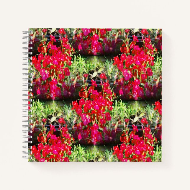 Cuaderno Filas de Carnations.... (Anverso)
