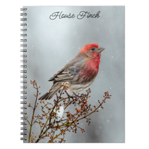 Cuaderno Finca de casa en nieve - Fotografía original