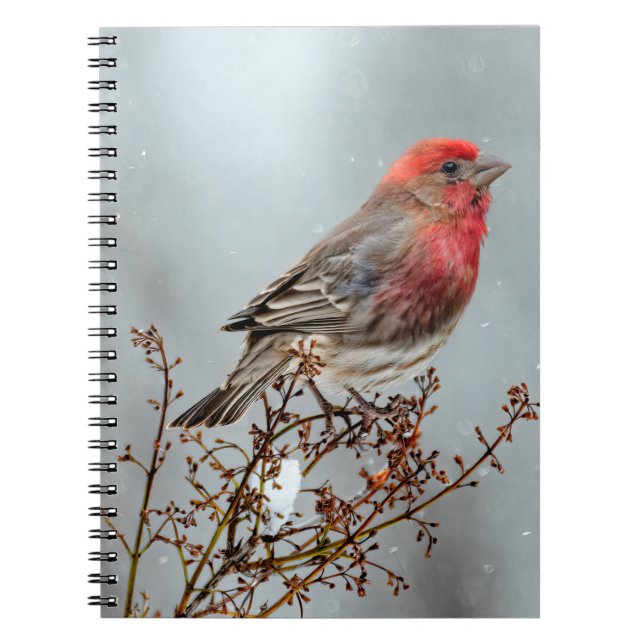 Cuaderno Finca de casa en nieve - Fotografía original (Frente)