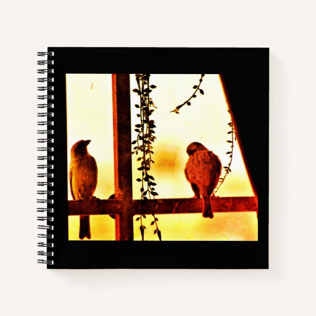 Cuaderno Finch Friends (Anverso)