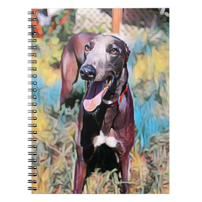 Cuaderno Firme (Frente)