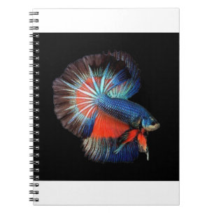 Cuaderno fish-5115102_1280