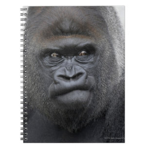 Cuaderno Flachlandgorilla, gorila del gorila,