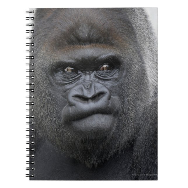 Cuaderno Flachlandgorilla, Gorila Gorila, (Frente)