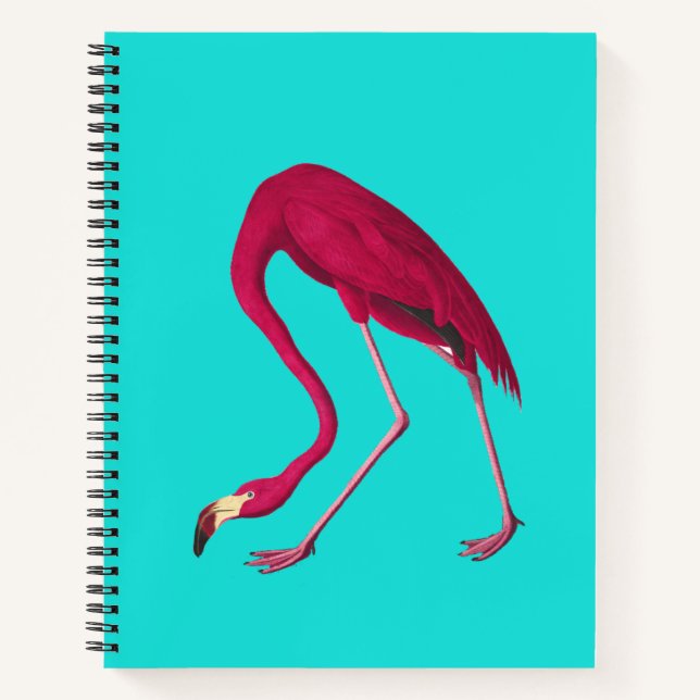Cuaderno Flamenco (Anverso)