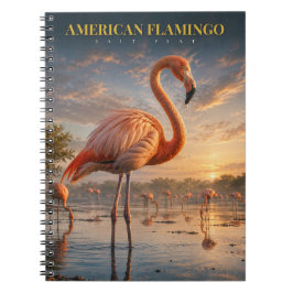 Cuaderno Flamenco Americano Laguna Costera ANIMALES