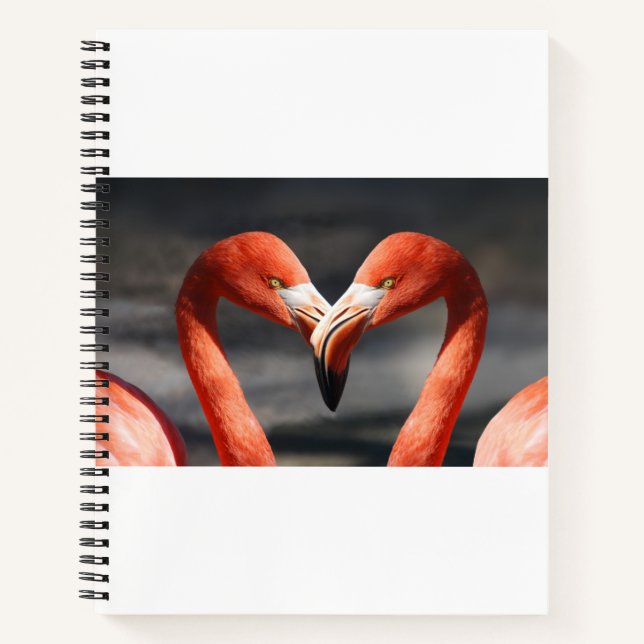 Cuaderno Flamenco de San Valentín (Anverso)