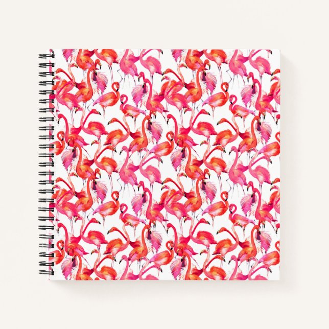 Cuaderno Flamencos acuarelas en acuarelas (Anverso)