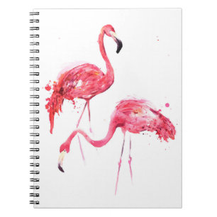 Cuaderno Flamencos acuáticos