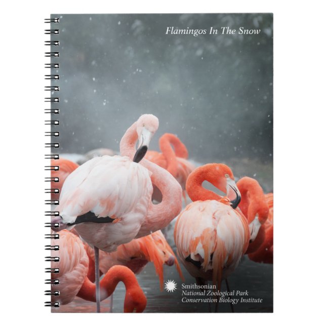 Cuaderno Flamencos de Smithsonian el | en la nieve (Frente)
