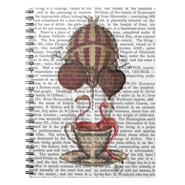 Cuaderno Flamencos en la televisión (Frente)