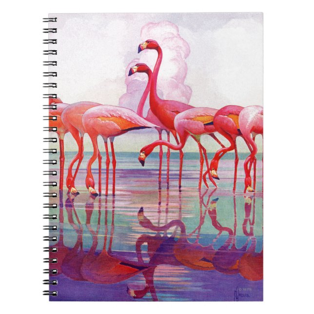 Cuaderno Flamencos rosados de Francisco Lee Jacques (Frente)
