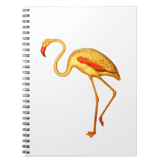 Cuaderno Flamingo