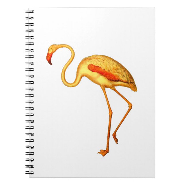 Cuaderno Flamingo (Frente)