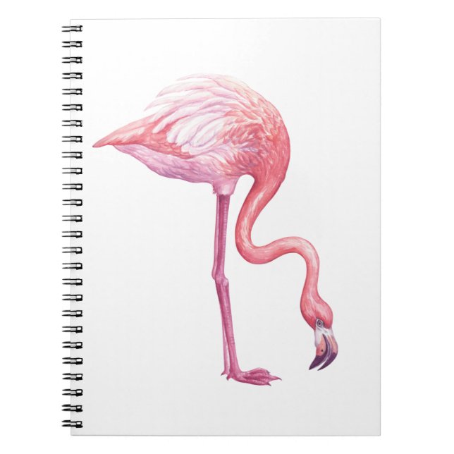 Cuaderno Flamingo (Frente)